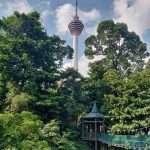 KL Forest Eco Park. qué ver en Kuala Lumpur