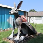 Henry´s Rabbit Ranch. RUTA 66, Etapa 2: Springfield (Illinois)- Springfield (Missouri). 540 km