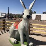 Jack Rabbit Trading Post. RUTA 66, Etapa 6: Albuquerque- Flagstaff