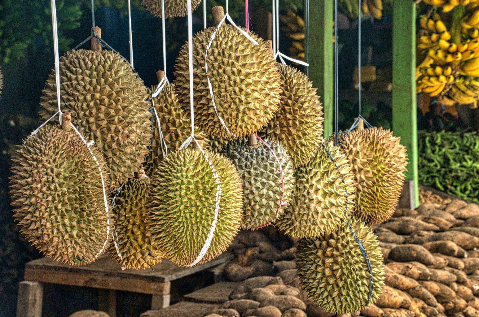 Durian. Guía práctica para viajar a Bali