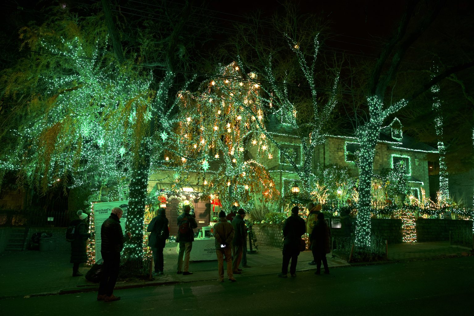 Bosque de luces.Visitar Dyker Heights, el barrio más navideño de Nueva York