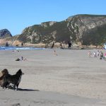 Playa El Sablón (Bayas, Castrillón). Playas para perros en Asturias
