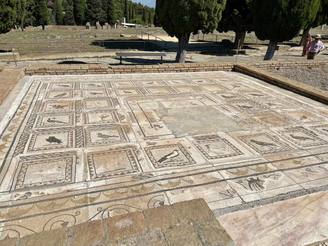 La Itálica. Qué ver y hacer en Sevilla