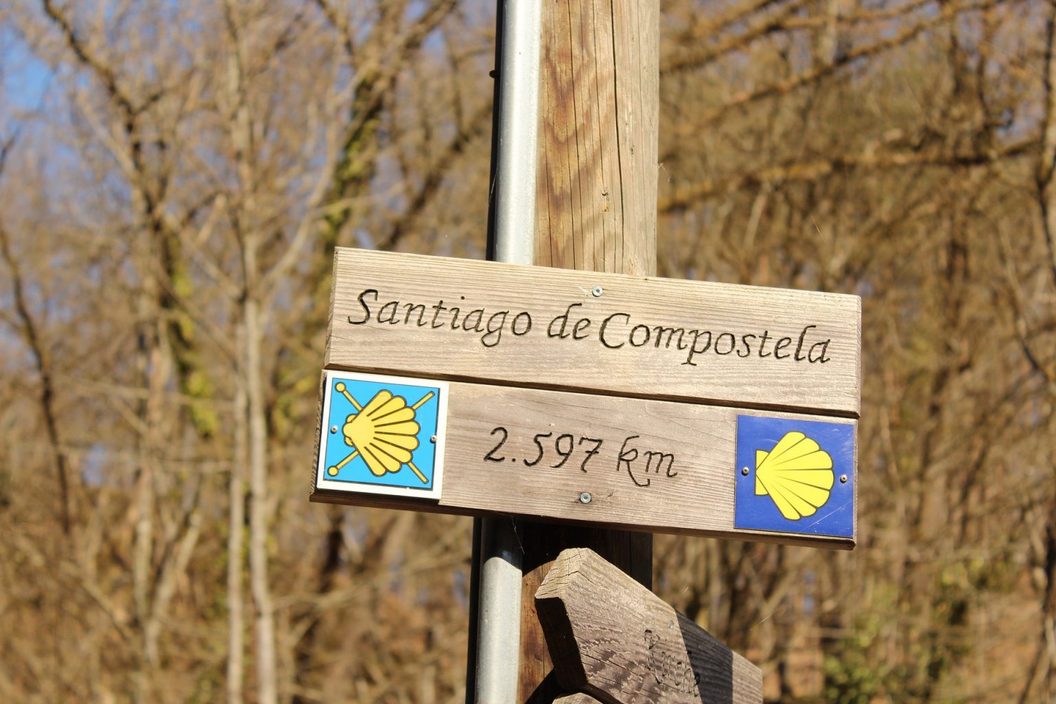 Camino De Santiago. Guía completa para planificar tu Camino de Santiago organizado