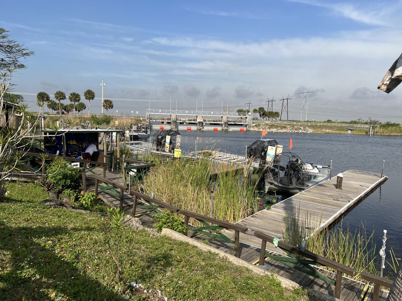 Everglades. Ruta de 7 días por Florida