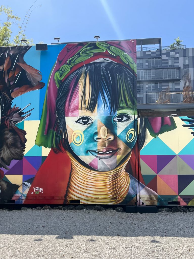 Parte del mural "Ethnicities" de Kobra. Visitar Wynwood Walls en Miami